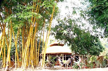 Tiger Camp Resort Rāmnagar Exterior photo